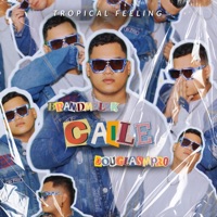 Caile - Single - Brandmelek & DouglasMProd