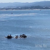 Seeing You - Single - Chuck Mullen