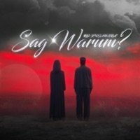 Sag Warum? - Single - ILO & OZAN BRA