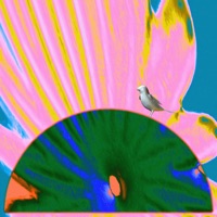 MN (Kristy Harper Remix) - Single - KAVYA