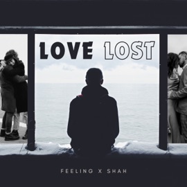Love lost FEELING DILSHAD & Shah