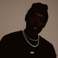 THE SECRET FREQUENCY - MashBeatz