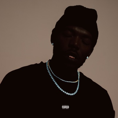 THE SECRET FREQUENCY