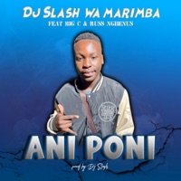 Ani Poni (feat. Big C & Russ Nghenus) - Single - Dj Slash Wa Marimba