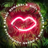 everybody needs a kiss — benny benassi  sofi tukker