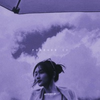 Forever II - Single - VLNRKS