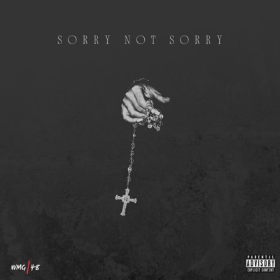 Sorry Not Sorry (feat. Skyfah) - Single