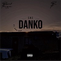 DANKO (feat. Ama.N2K) - Single - S.N.E