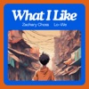 What I Like (feat. Lo-We) - Single