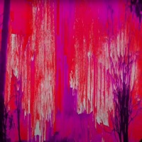 Fire Pink - Single - sayk_