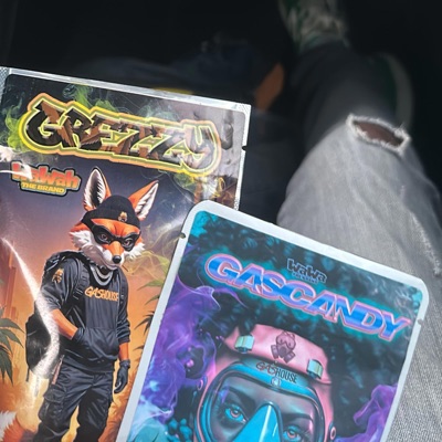 Swiper No Swiping (feat. Rizzy2p) - Single