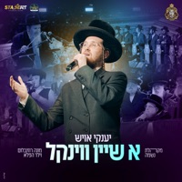 א שיין ווינקל - Single - יענקי אויש & Choir Neshama