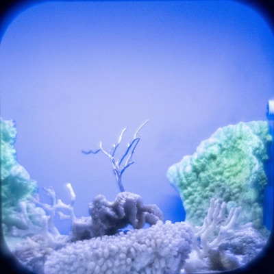 Sea in the Box (Original Soundtrack)