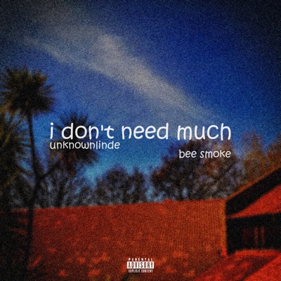 i don't need much - Single