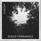 Life Circle - Diego Fernandez lyrics