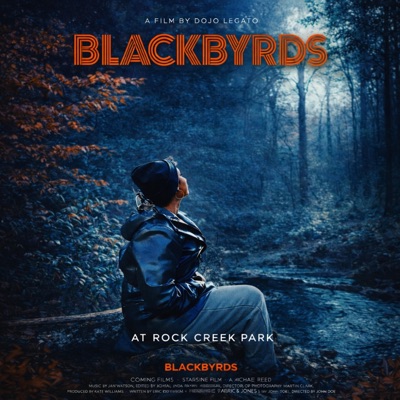 BLACKBYRDS - Single