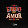 Banda La Joya De Antequera - Ebrio De Amor
