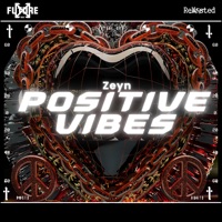 Positive Vibes - Single - Zeyn