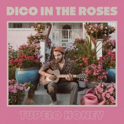 Tupelo Honey by Van Morrison
