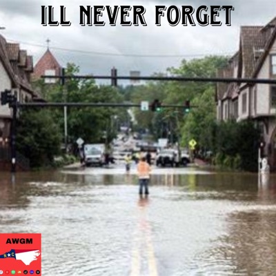 ILL NEVER FORGET - Single