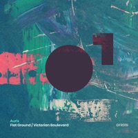 Flat Ground - Single - Auris