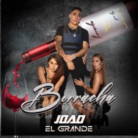 BORRACHA - Single - Joao