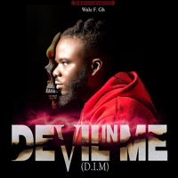 Devil In Me - Single - WALE F GH
