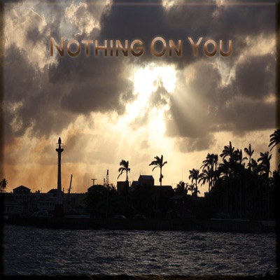 Nothing On You (feat. Tonk Wit Tha Gift & Biggpipee) - Single