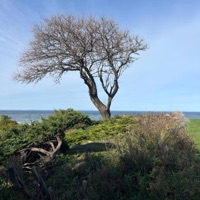 Whats the Rush - EP - Jaaxx