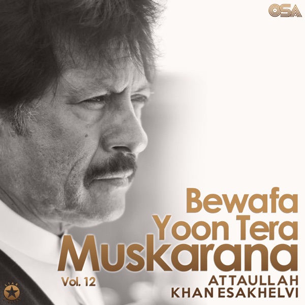 Bewafa Yoon Tera Muskarana, Vol. 12