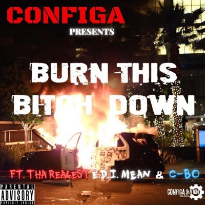 Burn This Bitch Down - Single
