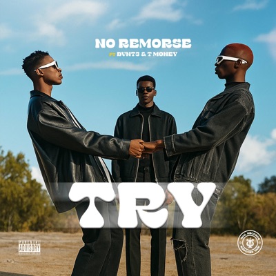 Try (feat. Dvnt3 & Tmulla pse) - Single