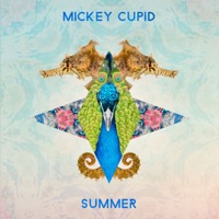 Summer (The Remixes Deluxe) - Mickey Cupid