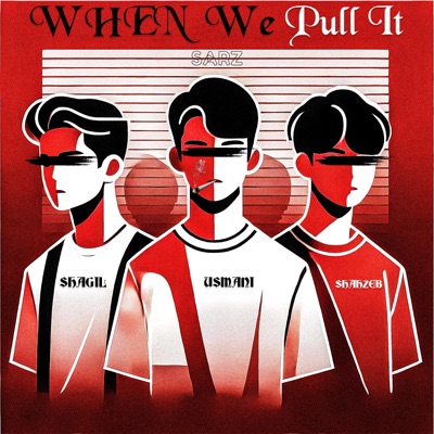 When We Pull It (feat. Shagil, Usmani & Shahzeb) - Single