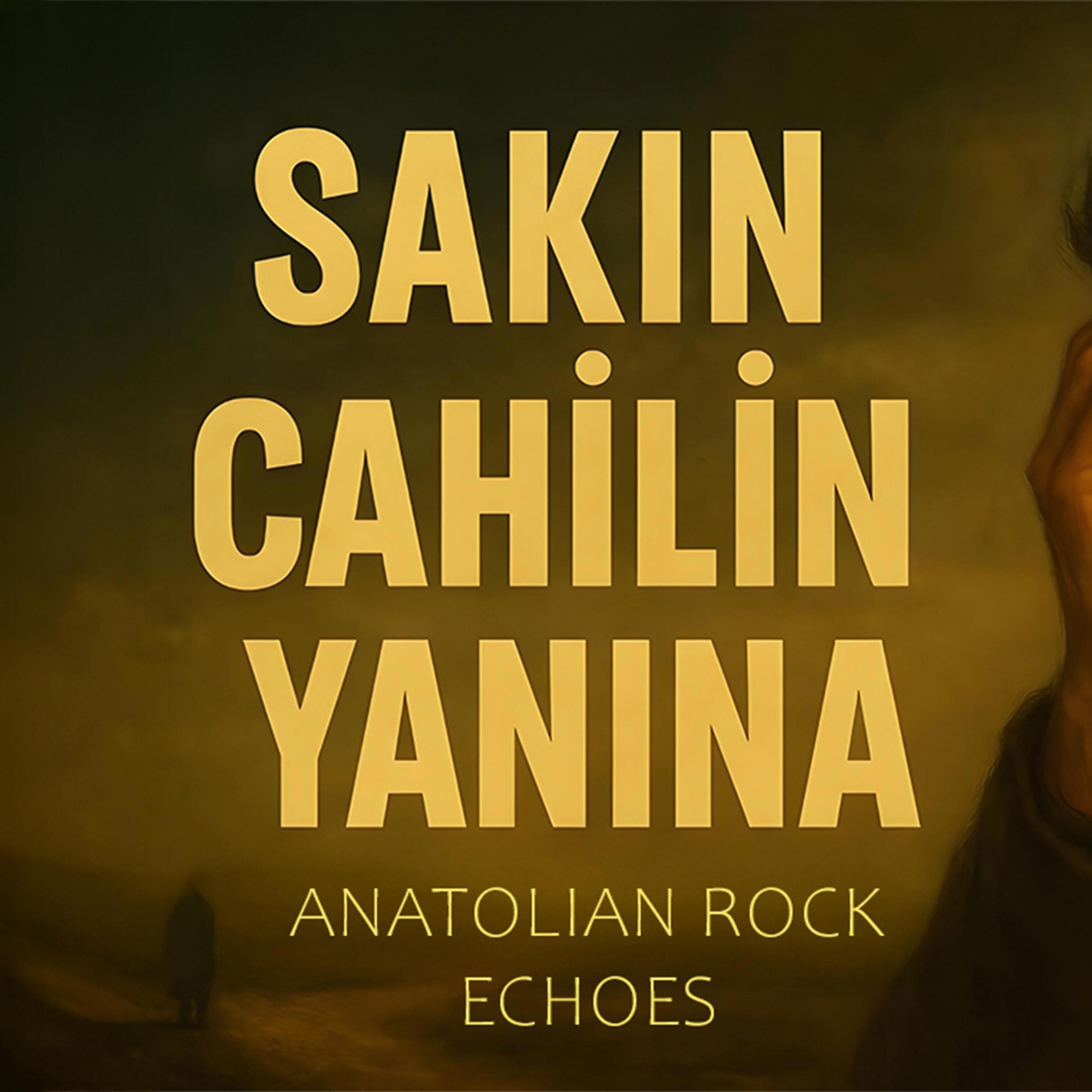 Sakın Cahilin Yanına - Single