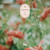 Strolling - Single - Dosi & Bastien Brison