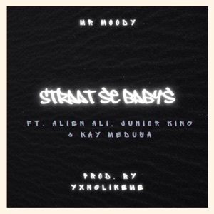 Straat Se Babys (feat. Junior King, Kay Medusa, Ali Joseph & Mr Moody) - Single