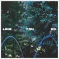 Like You Do