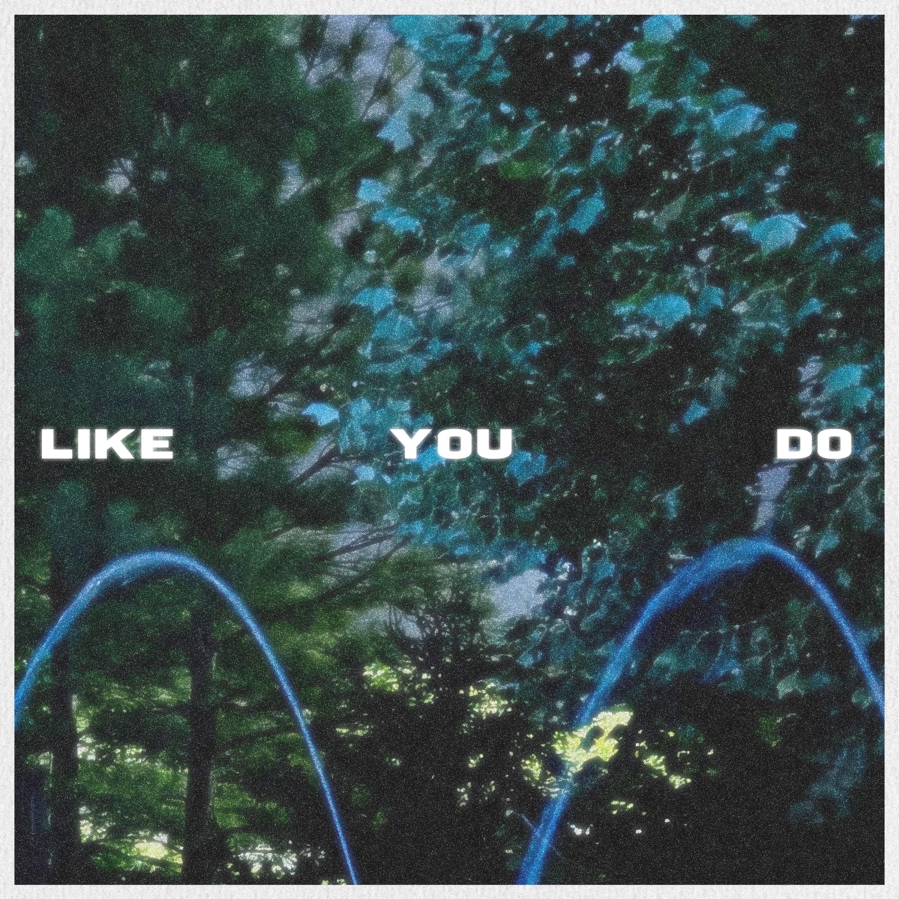 Like You Do - Single