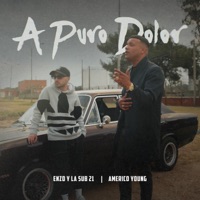 A Puro Dolor - Single - Américo Young & Enzo y la Sub 21