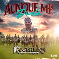 Aunque Me Duela