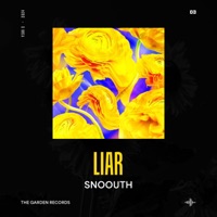 Liar - Single - Snoouth