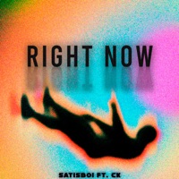 RIGHT NOW (feat. CK) - Single - Satisboi