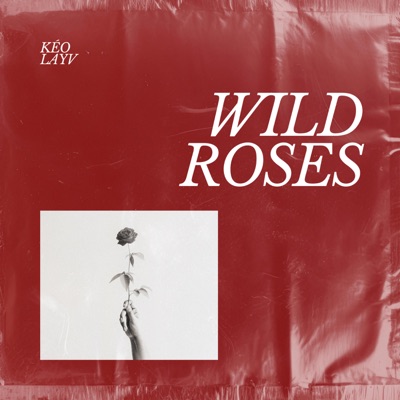 Wild Roses - Single