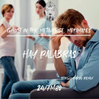 Hay Palabras - Ghost In The Metaverse, Sergio Pardo & Metamates