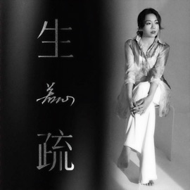 生疏 (DJ九零版伴奏) 若心