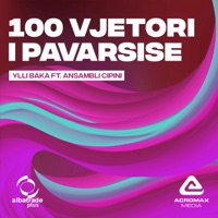 100 vjetori i pavarsise - Single - Ylli Baka