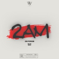 2AM on Forum (feat. Pxrty With Ekko) - Single - Majik
