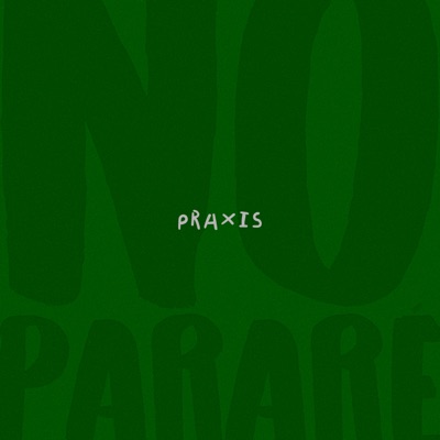 No Pararé - Single