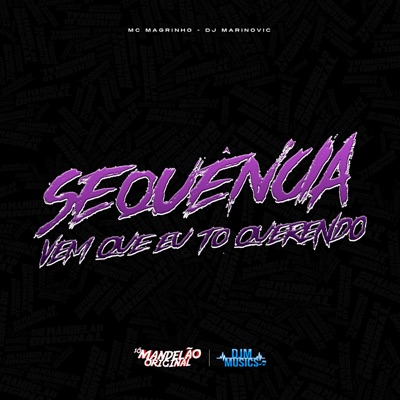 Sequência Vem Que Eu To Querendo - Single
